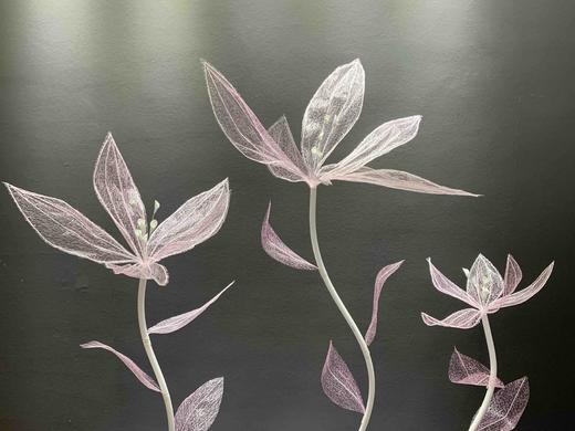 自由花【运费自理】 商品图4