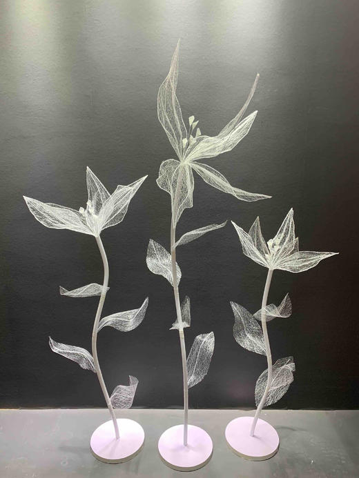 自由花【运费自理】 商品图1