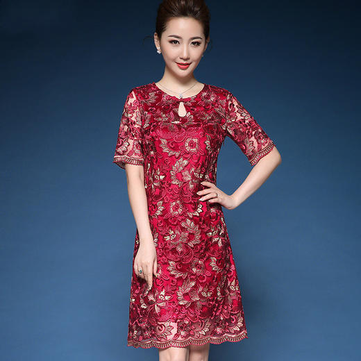 DYSL-Q3666新款下摆波浪边金丝绣花复古连衣裙TZW 商品图0