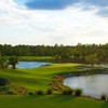 卡鲁萨松树高尔夫俱乐部 Calusa Pines Golf Club | 佛罗里达州高尔夫 | 美国高尔夫球场 | Florida | FL 商品缩略图3