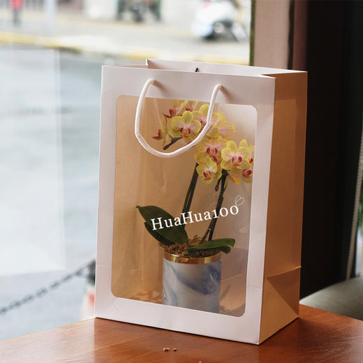 甜甜的心意丨日本进口迷你蝴蝶兰礼包 商品图4