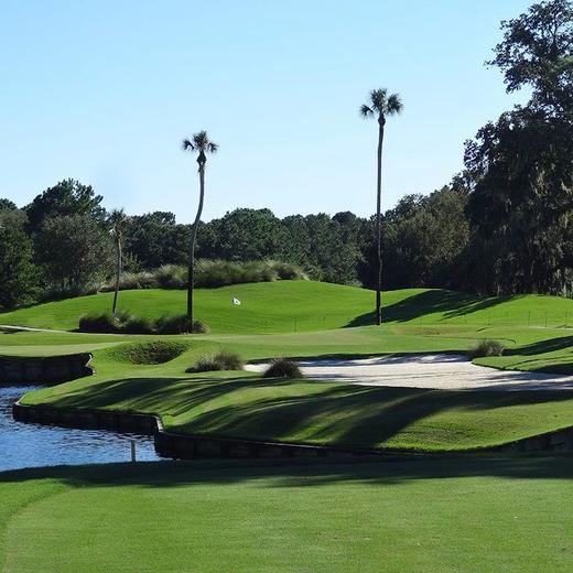 TPC锯齿草体育馆场 TPC Sawgrass | 佛罗里达州高尔夫 | 美国高尔夫球场 | Florida | FL | 世界百佳 商品图3