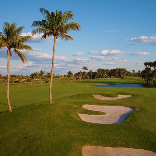 麦克阿瑟高尔夫球场 McArthur Golf Club | 佛罗里达州高尔夫 | 美国高尔夫球场 | Florida | FL 商品图0