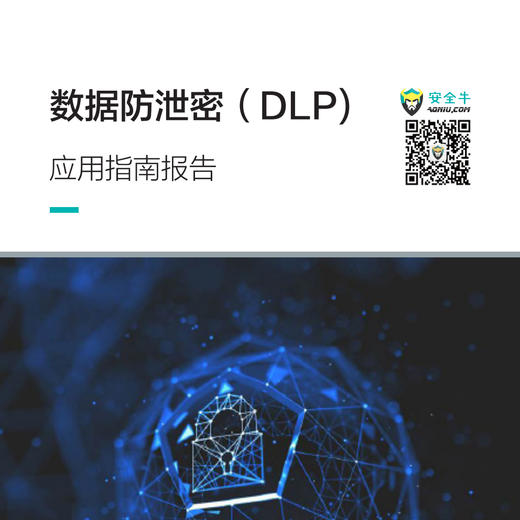数据防泄密（DLP）应用指南 商品图0