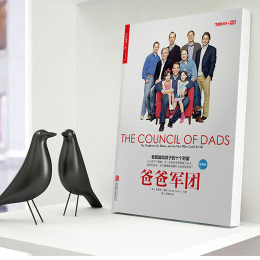 爸爸军团 商品图3