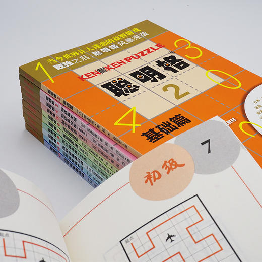 聪明格 全套11册 入门+中级+初级+高级 含四则运算的升级版数独 培育逻辑思维训练工具8-88岁老少咸宜 商品图3