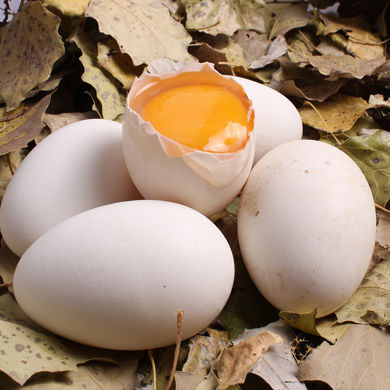 鹅蛋（论个）
