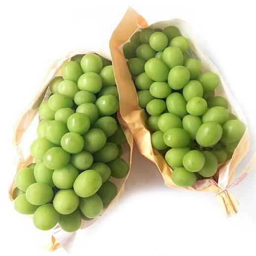 桐叶地产顶级香印晴王葡萄-是阳光亲吻过的味道 商品图1