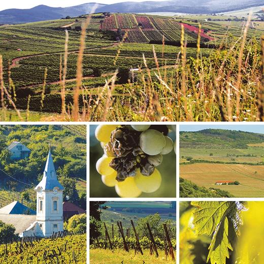 沈爷私人订制单桶匈牙利荣耀托卡伊Royal Tokaji 2017年 晚收甜白 葡萄酒  商品图4