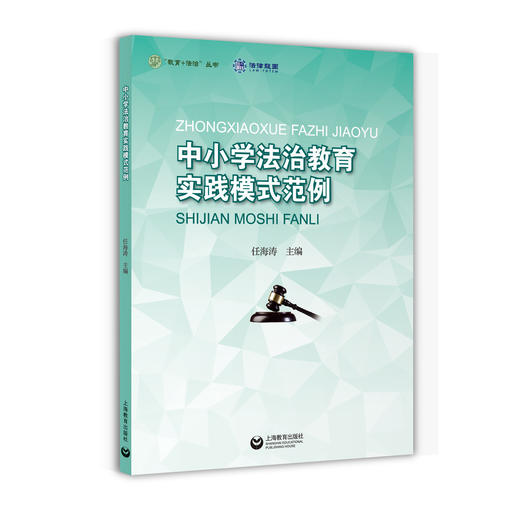 中小学法治教育实践模式范例（教育+法治丛书） 商品图0