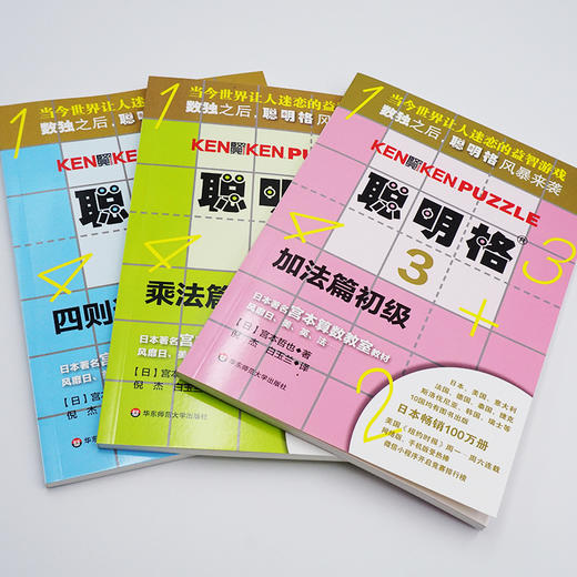 聪明格 全套11册 入门+中级+初级+高级 含四则运算的升级版数独 培育逻辑思维训练工具8-88岁老少咸宜 商品图5