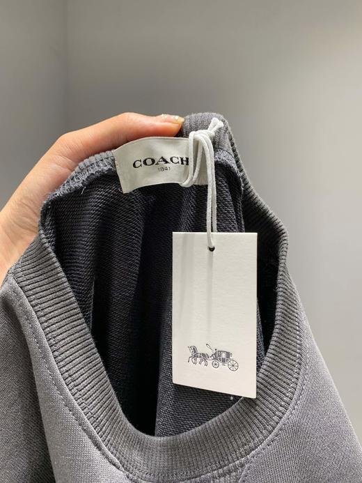 点此购买 coach 蔻驰重工迪斯尼小飞象刺绣卫衣 曾123791