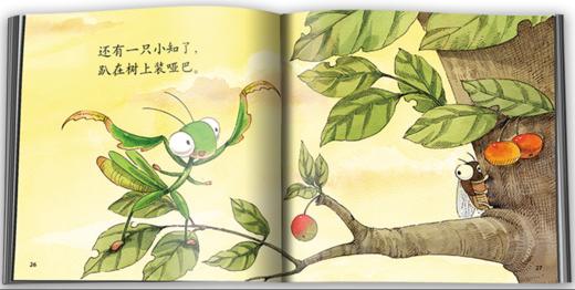 【科普认知】乐悠悠启蒙图画书系列——《螳螂小谣曲》（0-4岁） 商品图1