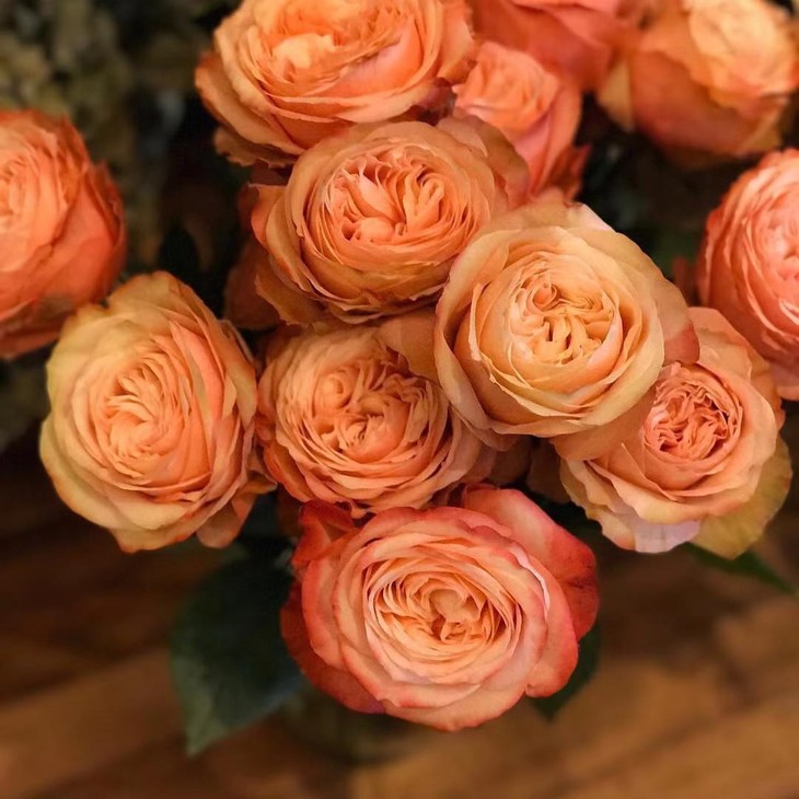 【新鲜】进口厄瓜多尔花园玫瑰-卡哈拉/枫糖(9-10枝),长度50cm,全国