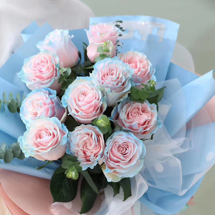 新鲜进口厄瓜多尔玫瑰伊莎贝拉初夏910枝全国京东顺丰包邮