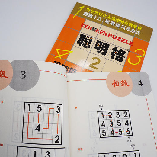 聪明格 全套11册 入门+中级+初级+高级 含四则运算的升级版数独 培育逻辑思维训练工具8-88岁老少咸宜 商品图7