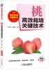 桃高效栽培关键技术（手把手教你学技术，减肥减药，要点详解，一本足够） 商品缩略图0