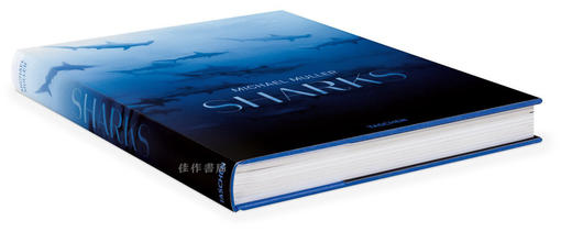 Michael Muller: Sharks/迈克尔·穆勒：鲨鱼/Taschen出版 大开本英文原版摄影集 商品图1