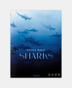 Michael Muller: Sharks/迈克尔·穆勒：鲨鱼/Taschen出版 大开本英文原版摄影集 商品缩略图0