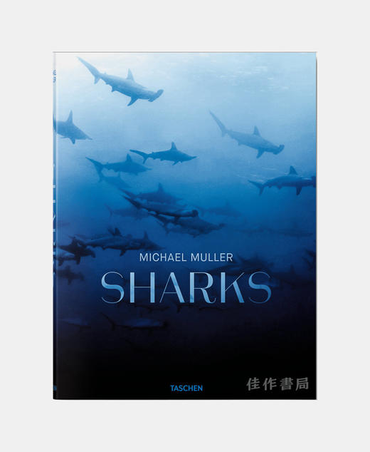 Michael Muller: Sharks/迈克尔·穆勒：鲨鱼/Taschen出版 大开本英文原版摄影集 商品图0