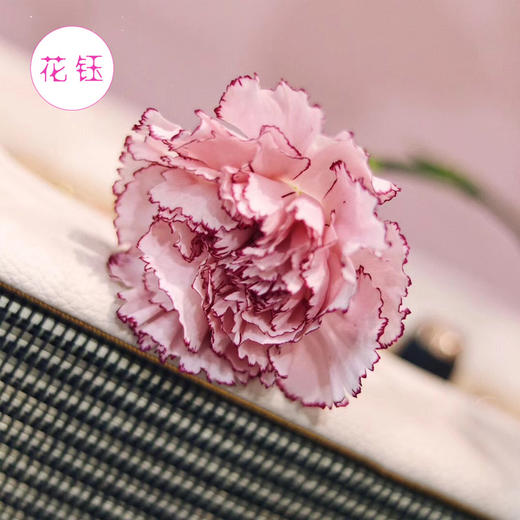 新鲜859元起进口哥伦比亚康乃馨蝴蝶百合1112枝大家拼团注意平时现货