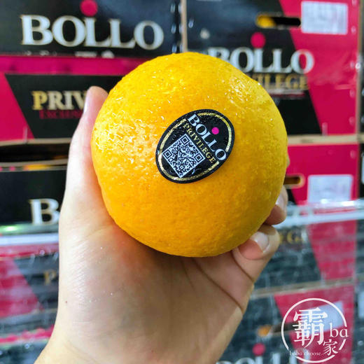 【西班牙 进口橙】西班牙进口橙，甜度高，水分多，好橙子切块也很甜嫩，榨汁也合适！ 商品图3