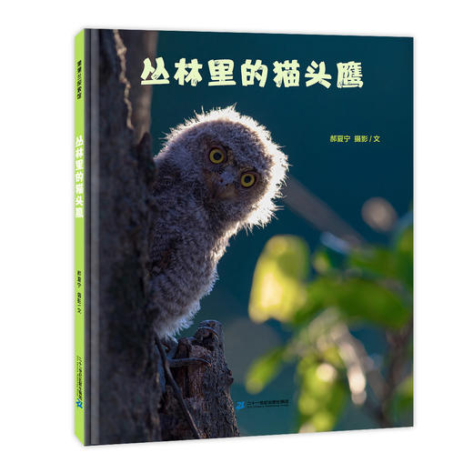 丛林里的猫头鹰——精装 4岁以上 摄影科普故事绘本 记录猫头鹰一家的真实生活场景 商品图0
