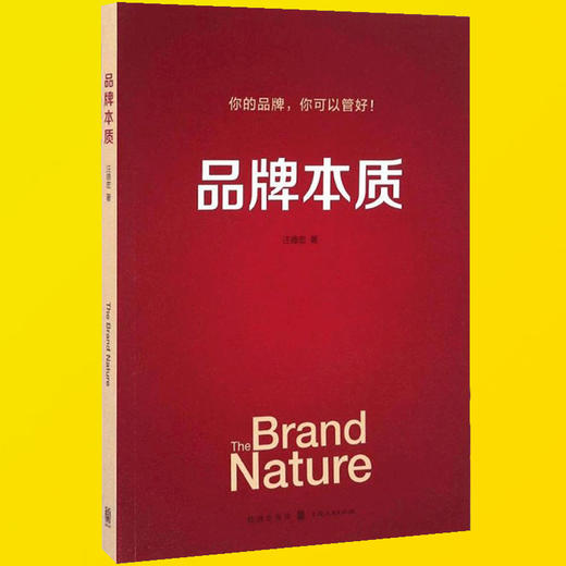 品牌本质 品牌管理理念 品牌管理方法 品牌定位 品牌建设推广 产品概念 广告创意管理 品牌管理组织 品牌营销书籍 商品图0