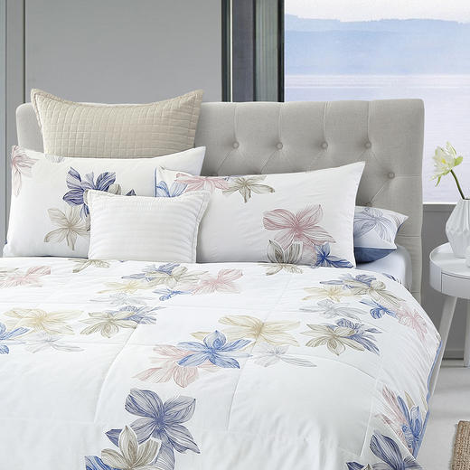 HBXW-030   WIND ROSES全棉舒适被 商品图0