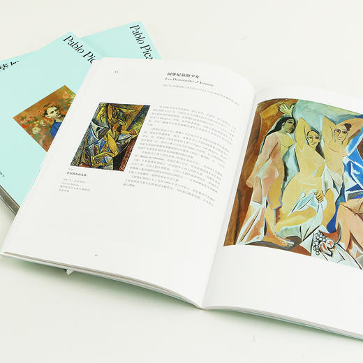 毕加索 （彩色艺术经典图书馆•07）由毕加索的密友执笔，完整梳理毕加索的人生境遇与艺术经历 48件代表性作品，解读这位天才艺术家多变的艺术风格 商品图3