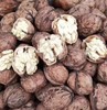 【预售】云南去青皮新鲜核桃，颗粒饱满，甘甜营养高，超妈产地甄选，请冷藏保存 商品缩略图6