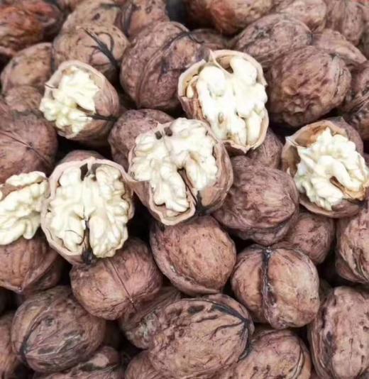 【预售】云南去青皮新鲜核桃，颗粒饱满，甘甜营养高，超妈产地甄选，请冷藏保存 商品图6
