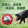 扬州苏食淮黑猪超值礼盒4.76kg 商品缩略图0