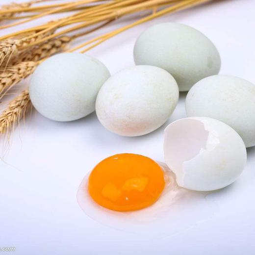 水鸭蛋 商品图0