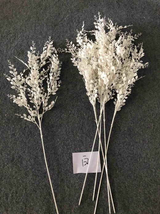 六叶草【运费自理】 商品图3