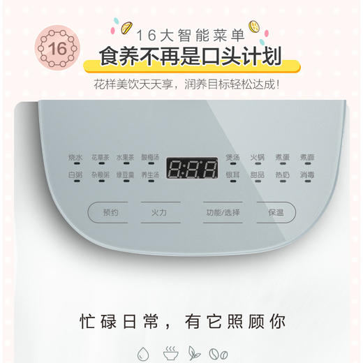 【小程序】小熊养生壶家用多功能加厚玻璃煮茶壶办公室花茶壶煮茶烧水壶YSH-C15F1 商品图3