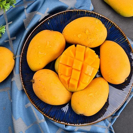 广西百色小台芒 | 果肉饱满 细嫩多汁 果核如纸薄5斤/9斤