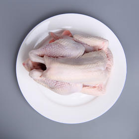 杭州苏州冰鲜童子鸡1.1-1.4kg/只