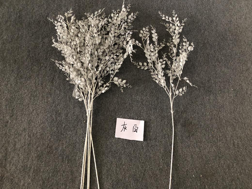 六叶草【运费自理】 商品图2