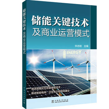 储能关键技术及商业运营模式 商品图0