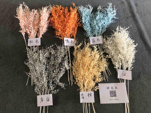 六叶草【运费自理】 商品图1