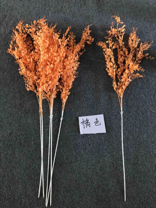 六叶草【运费自理】 商品图5