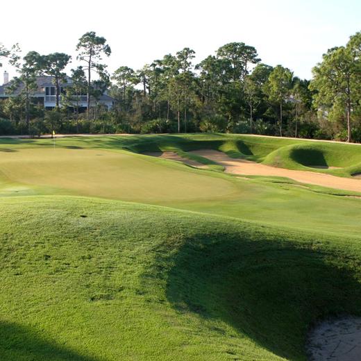 洛洛利高尔夫球场 Loblolly Golf Course | 佛罗里达州高尔夫球场 俱乐部| 美国高尔夫 | Florida Golf | FL 商品图4