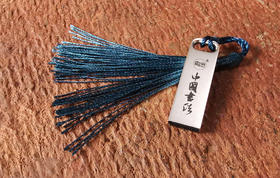 64G楷书视频U盘，内含50G陈维示范智永楷书《千字文》！