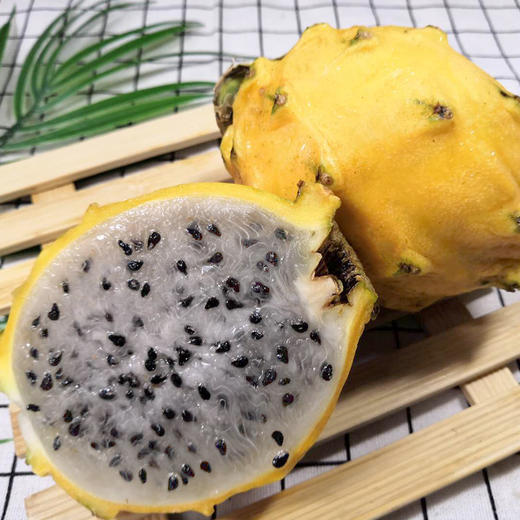 哥伦比亚燕窝果1个