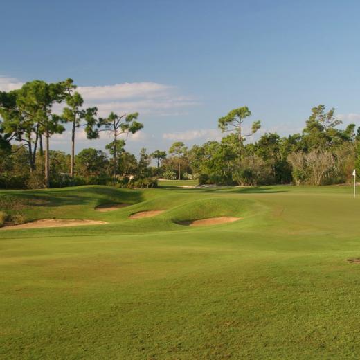 洛洛利高尔夫球场 Loblolly Golf Course | 佛罗里达州高尔夫球场 俱乐部| 美国高尔夫 | Florida Golf | FL 商品图5