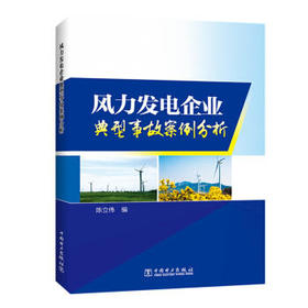 风力发电企业典型事故案例分析
