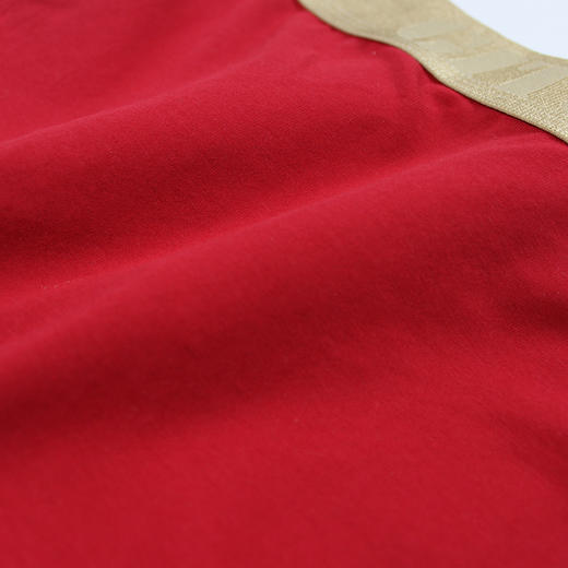 本命年红色纯棉形象带低腰情侣内裤【GITU/吉图】 商品图4