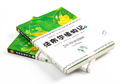 植物圣经《法布尔植物记》：手绘珍藏版（全2册）因《昆虫记》闻名于世的法布尔又一巨作！所有植物爱好者不可错过的“植物圣经” 商品图3