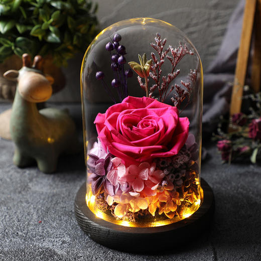 【春节不打烊 顺丰包邮】经典款 永生玫瑰花玻璃罩暖灯摆件 鲜花干花七夕情人节生日礼物创意礼品 商品图1